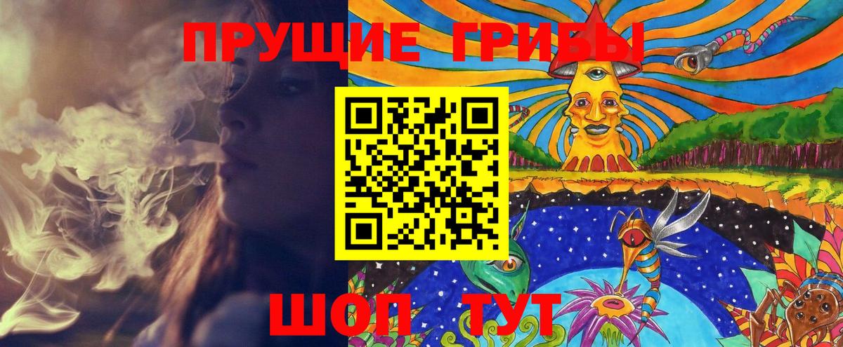 Александров  Псилоцибиновые грибы прущие грибы  Вход с VPN 