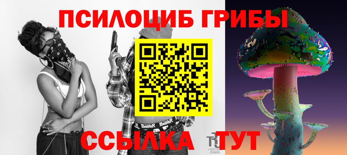 Псилоцибиновые грибы Psilocybine cubensis Александров